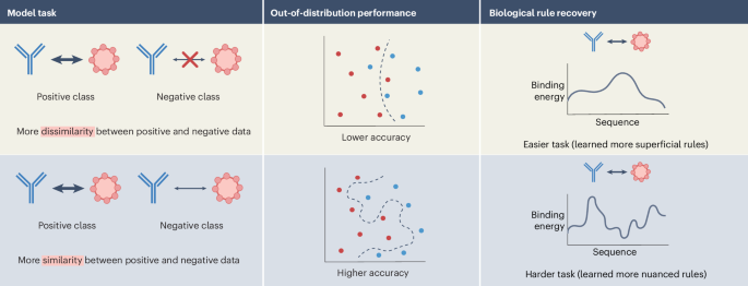 Enhancing Antibody Binding Prediction with Negative Training Data