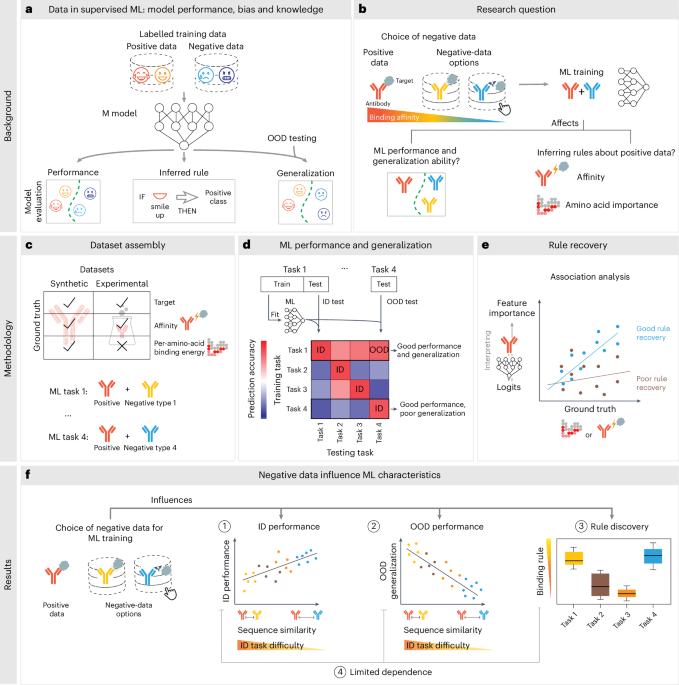 How Training Data Composition Influences Machine Learning Generalization and Biological Discoveries
