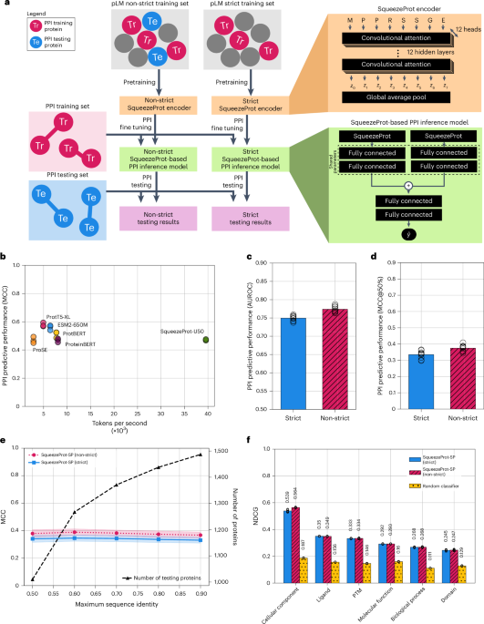 A flaw in using pretrained protein language models in protein-protein interaction inference models
