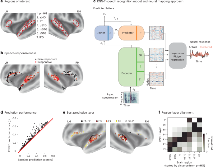 Parallel hierarchical encoding of linguistic representations in the human auditory cortex and recurrent automatic speech recognition systems