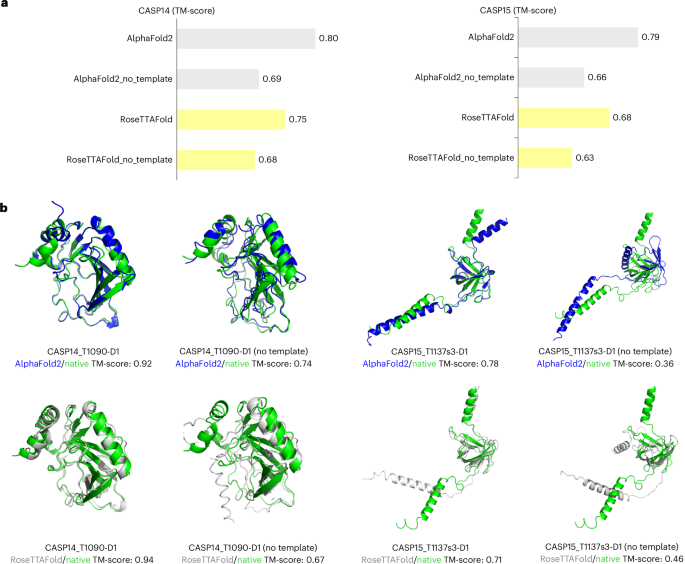 Two-dimensional geometric template diffusion for boosting single-sequence protein structure prediction
