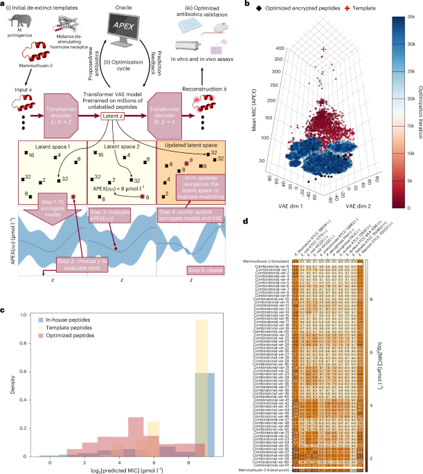A generative artificial intelligence approach for peptide antibiotic optimization