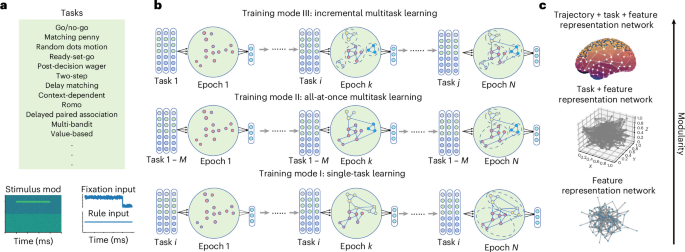 Task-structured modularity emerges in artificial networks and aligns with brain architecture