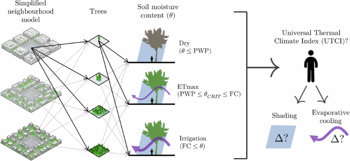 Soil moisture content, urban tree evaporative cooling and human thermal comfort