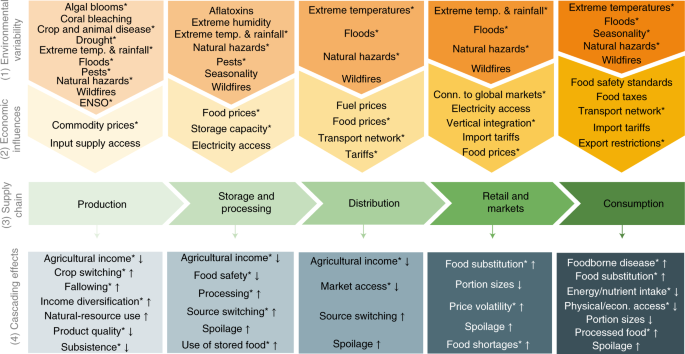 Towards food supply chain resilience to environmental shocks | Nature Food
