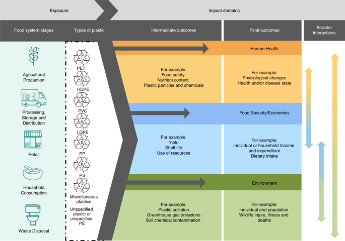A systematic scoping review of environmental, food security and health impacts of food system plastics