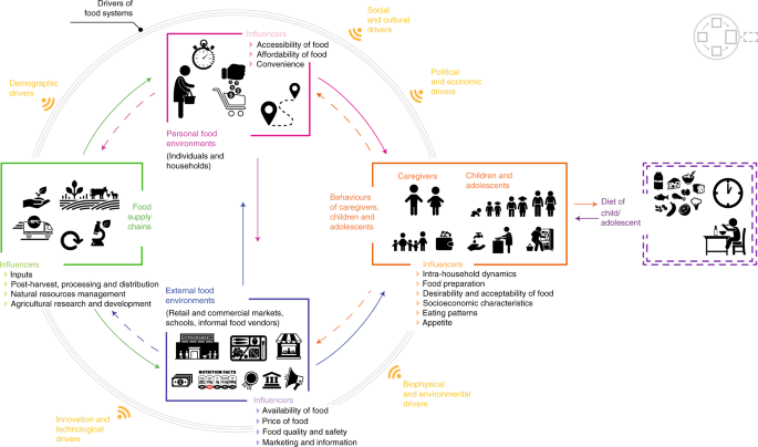Gaps and priorities in assessment of food environments for