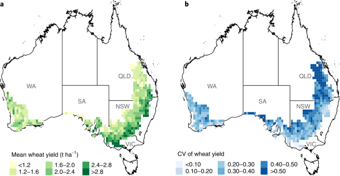 Increasing dominance of Indian Ocean variability impacts Australian wheat yields