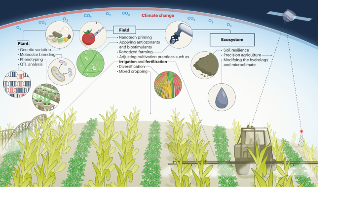 Adapting crop production to climate change and air pollution at 