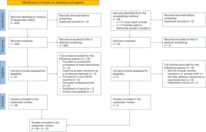 A systematic review of the definitions, narratives and paths 