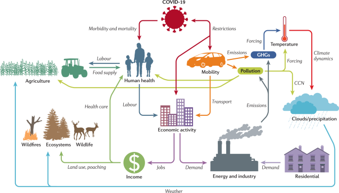 The Covid 19 Lockdowns A Window Into The Earth System Nature Reviews Earth Environment The Covid 19 Lockdowns A Window Into The Earth System Nature Reviews Earth Environment