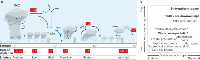 How is Rain Formed? | Formation of Rain