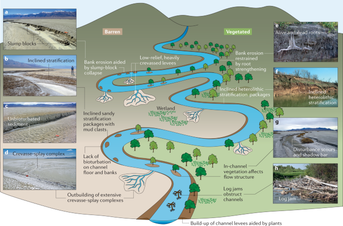 Meander Formation and Features of Meandering Streams