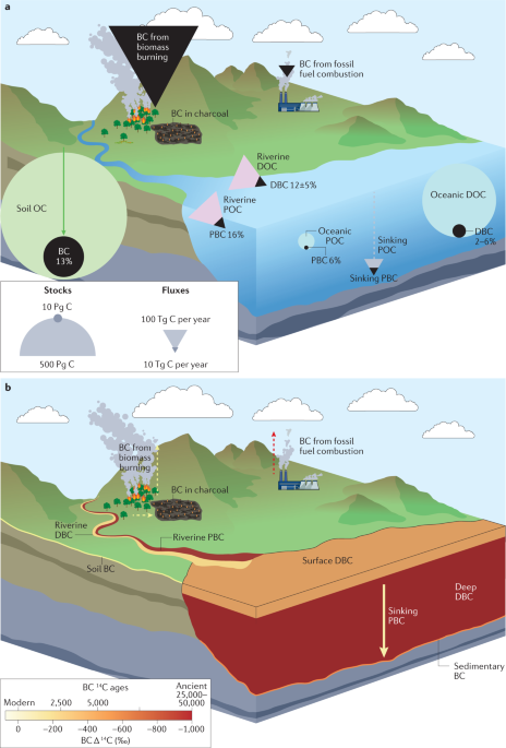 The black carbon cycle and its role in the Earth system