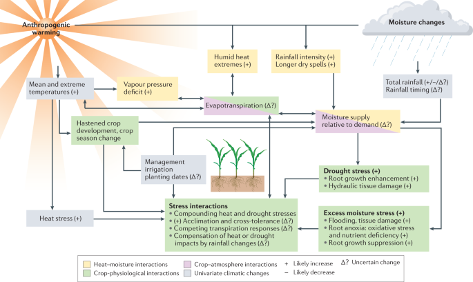 Global Crop Yields to Reduce Under Warmer Climate----Third Pole Environment