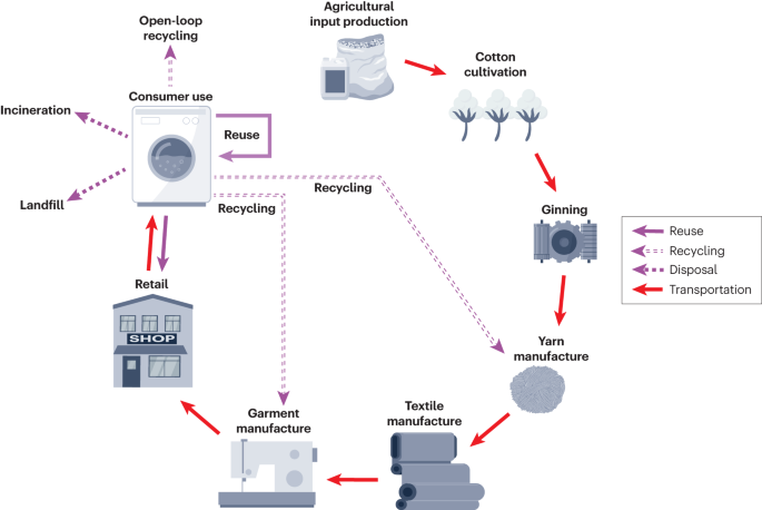 Cotton processing 