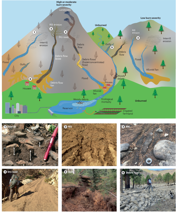 Fire effects on geomorphic processes | Nature Reviews Earth 