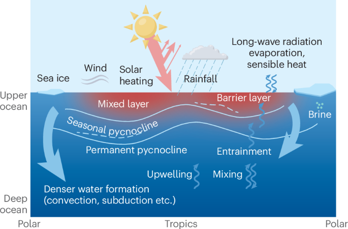 Ocean stratification in a warming climate