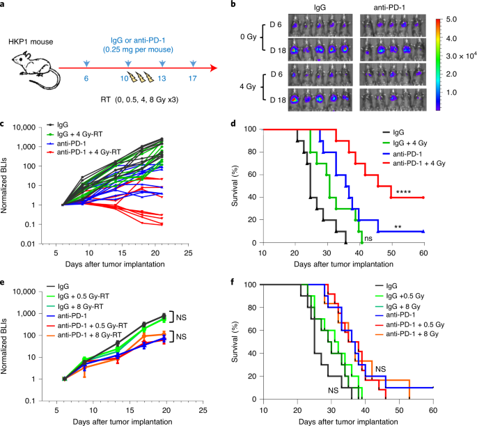 Radiation Activated Secretory Proteins Of Scgb1a1 Club Cells Increase The Efficacy Of Immune Checkpoint Blockade In Lung Cancer Nature Cancer
