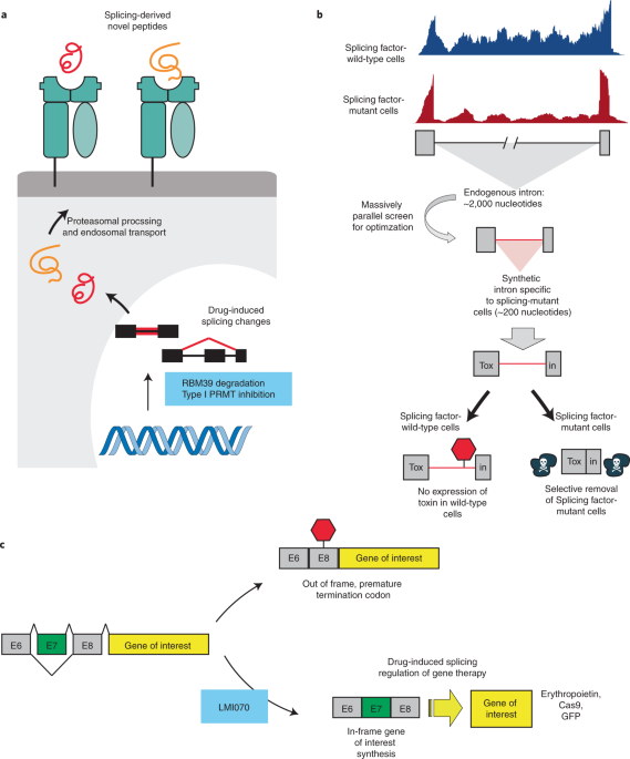 The role played by alternative splicing in antigenic variability in