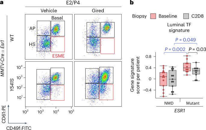 Inhibition of erα signaling induces lineage plasticity in vivo