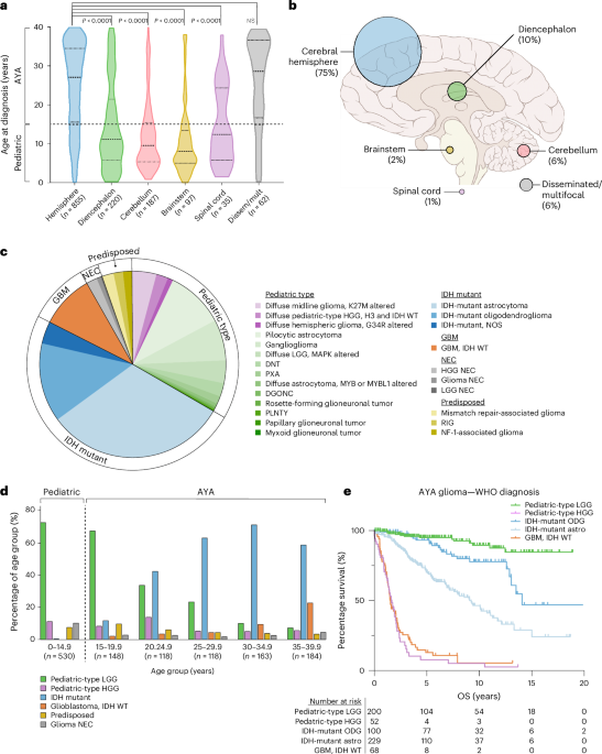 A population-based analysis of the molecular landscape of glioma in adolescents and young adults reveals insights into gliomagenesis - Nature Cancer