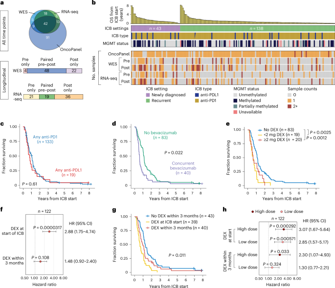 Tumor transcriptional state predicts survival in immune-checkpoint-blockade-treated glioblastoma - Nature Cancer
