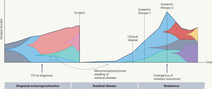 Charting intratumor heterogeneity from bench to bedside