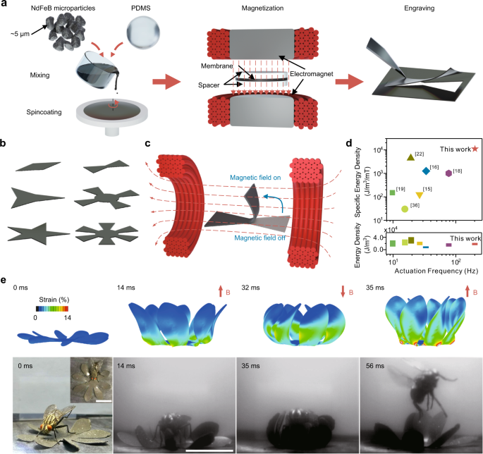 Untethered and ultrafast soft-bodied robots | Communications Materials