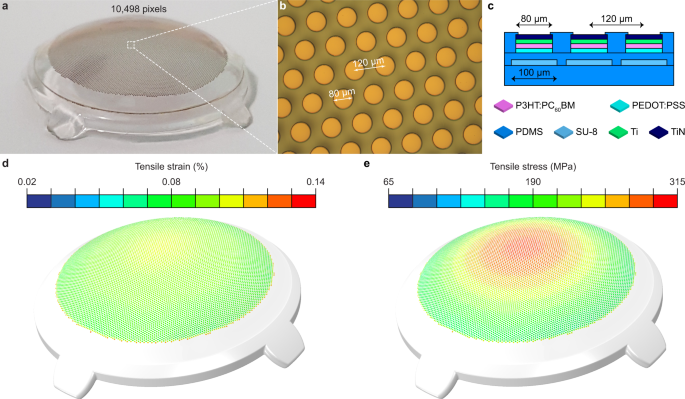 polyretina protesi visiva elettrodi retina Diego Ghezzi epfl