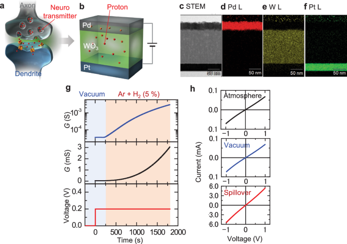 Revolutionizing Computing with Neuromorphic Protonic Devices for Real-Time Information Processing