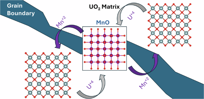 The role of redox and structure on grain growth in Mn-doped UO2 ...