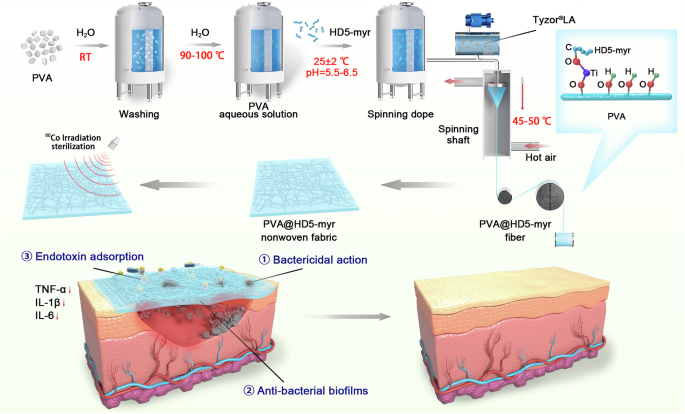 Defensin-conjugated polymer fabrics combat drug-resistant biofilms and toxins in skin wounds - Communications Materials