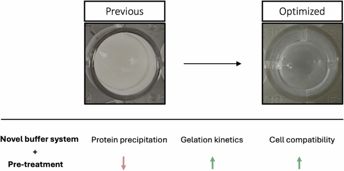 Clear silk hydrogels as a flexible platform for cell tradition and imaging Clear silk hydrogels as a flexible platform for cell tradition and imaging