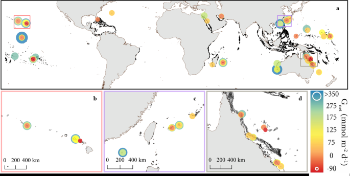 Global coral reef ecosystems exhibit declining calcification and ... - Nature