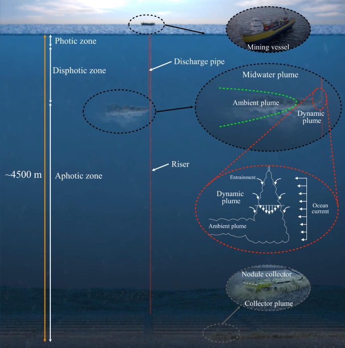 Toward a reliable assessment of potential ecological impacts of deep‐sea  polymetallic nodule mining on abyssal infauna - Lins - 2021 - Limnology and  Oceanography: Methods - Wiley Online Library