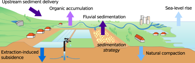 Sedimentation strategies provide effective but limited mitigation of relative sea-level rise in the Mekong delta | Communications Earth & Environment