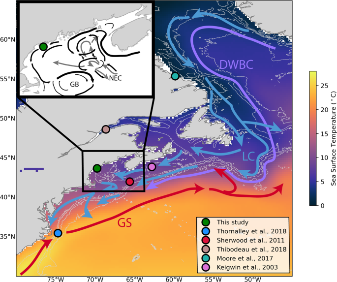 Rapid 20th century warming reverses 900-year cooling in the Gulf of Maine