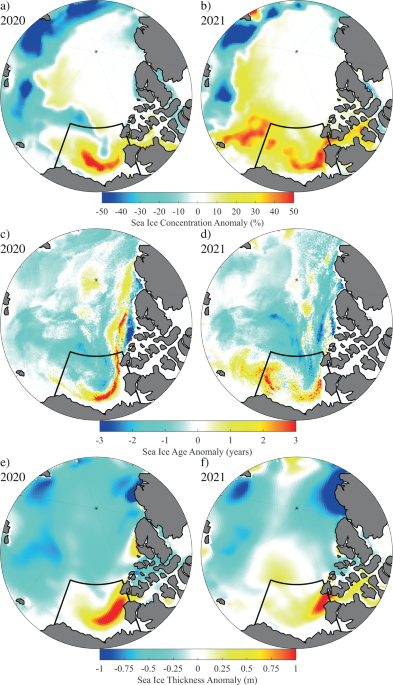 Thick and old sea ice in the Beaufort Sea during summer 2020/21 was  associated with enhanced transport