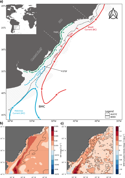 Tropicalization of demersal megafauna in the western south atlantic since 2013