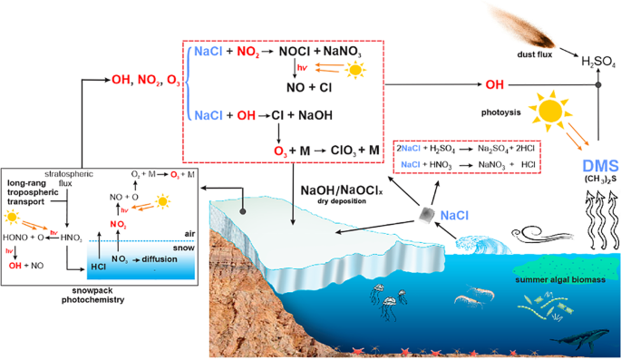 Stratospheric ozone depletion in the Antarctic region triggers intense  changes in sea salt aerosol geochemistry