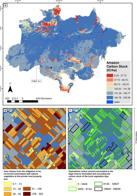 Slow-down of deforestation following a Brazilian forest policy was