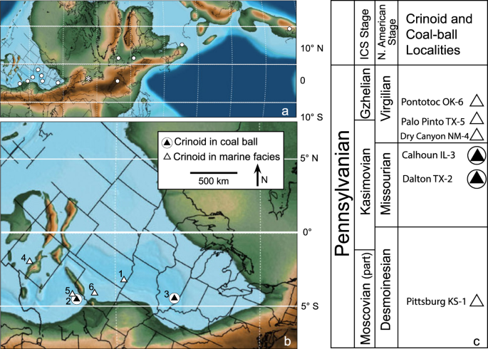A marine origin of coal balls in the Midland and Illinois basins, USA