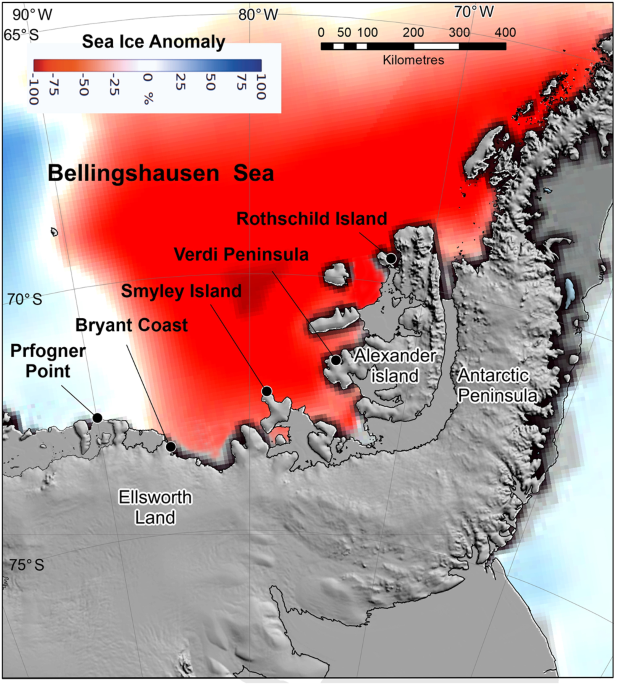 One of Antarctica's Largest Emperor Penguin Colonies Has Suffered Three  Years of 'Catastrophic' Breeding Failures, Smart News