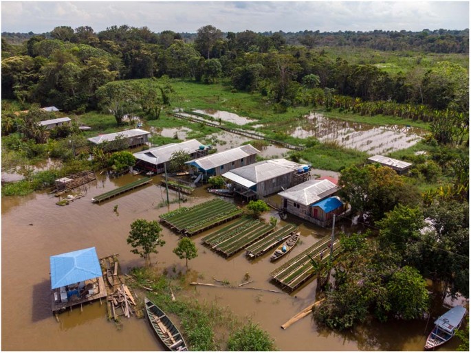 Brazil aerial photos show miners' devastation of indigenous people's land, Global development