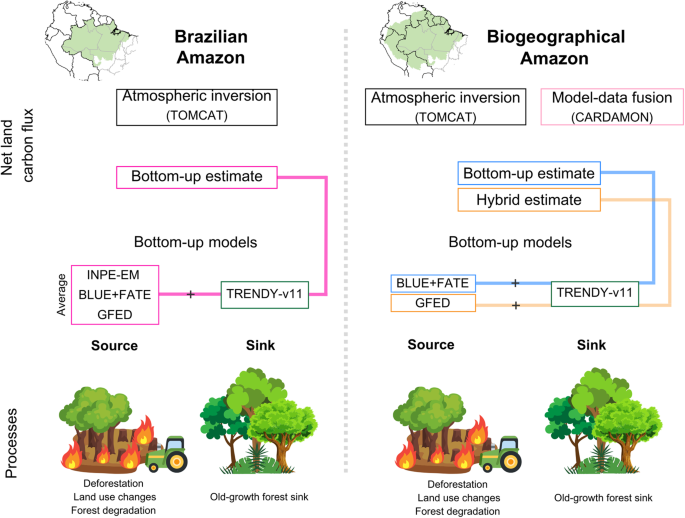 Synthesis of the land carbon fluxes of the Amazon region between 2010 and  2020 | Communications Earth & Environment