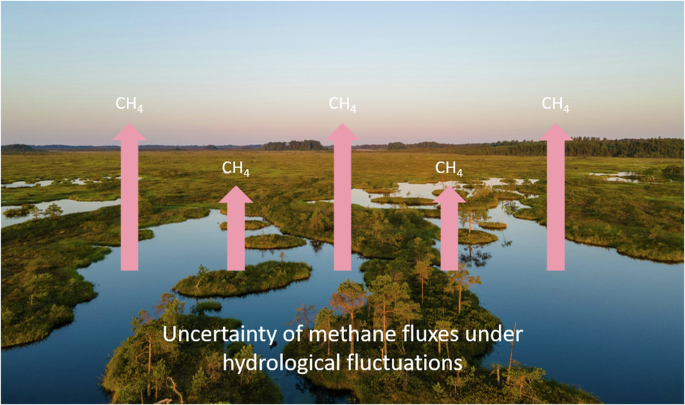 Image for Introduction to Methane Flux in Peatlands