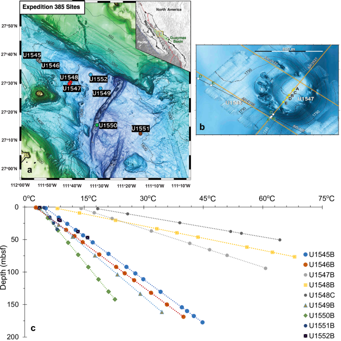 Deep subseafloor sediments in guaymas basin harbor cosmopolitan microbiota and traces of hydrothermal populations