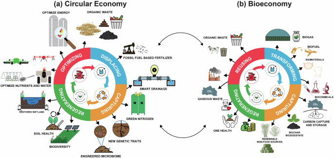 An economic perspective of the circular bioeconomy in the food and ...