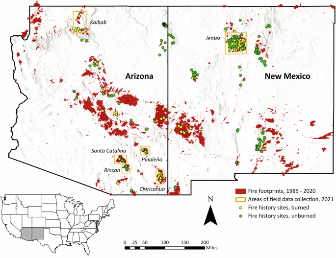 Contemporary fires are less frequent but more severe in dry conifer